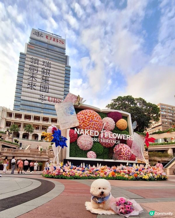 【🐶狗狗同樂日】NAKED FLOWERS 花舞光影展香港