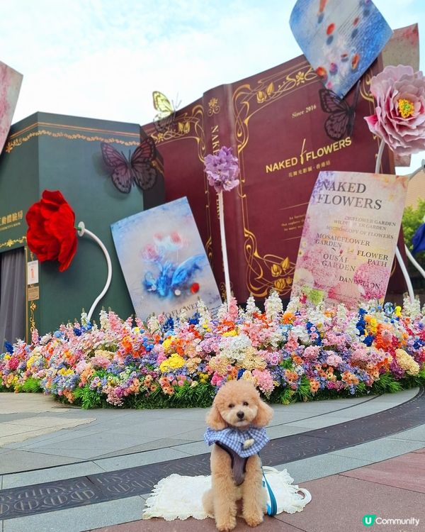 【🐶狗狗同樂日】NAKED FLOWERS 花舞光影展香港