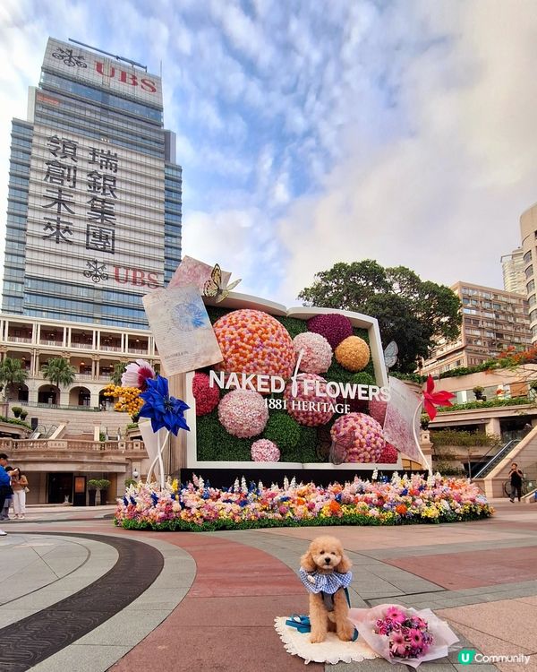 【🐶狗狗同樂日】NAKED FLOWERS 花舞光影展香港