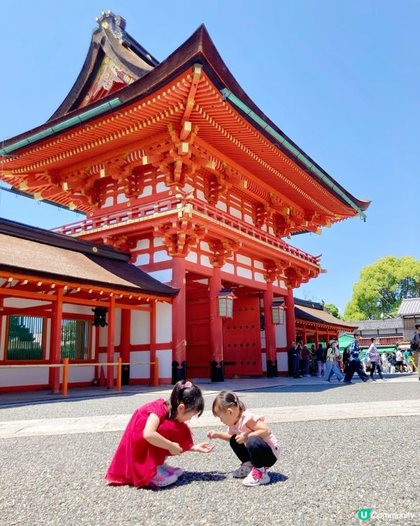 《日本京阪親子遊》- 𝗗𝗔𝗬 𝟯【千本鳥居】