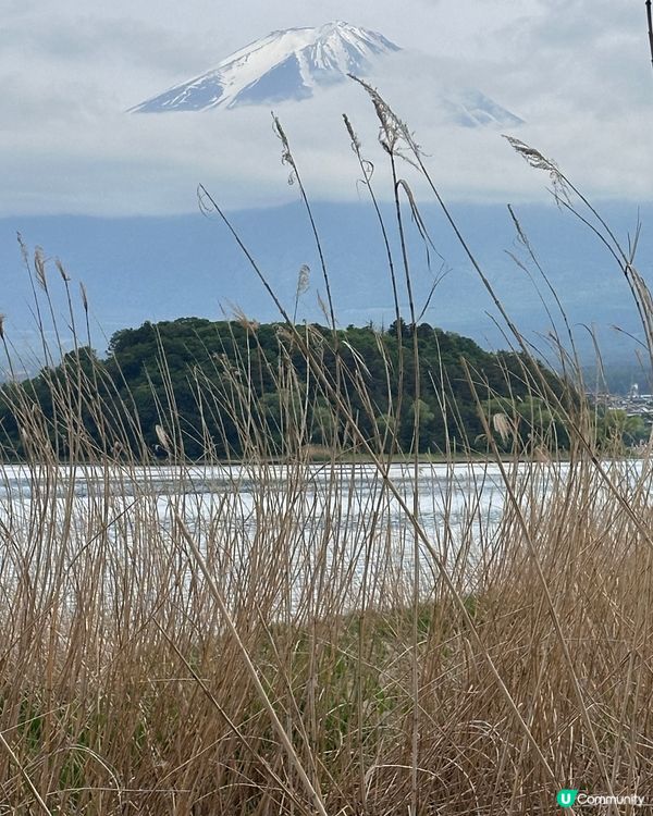 去看富士山🗻小分享