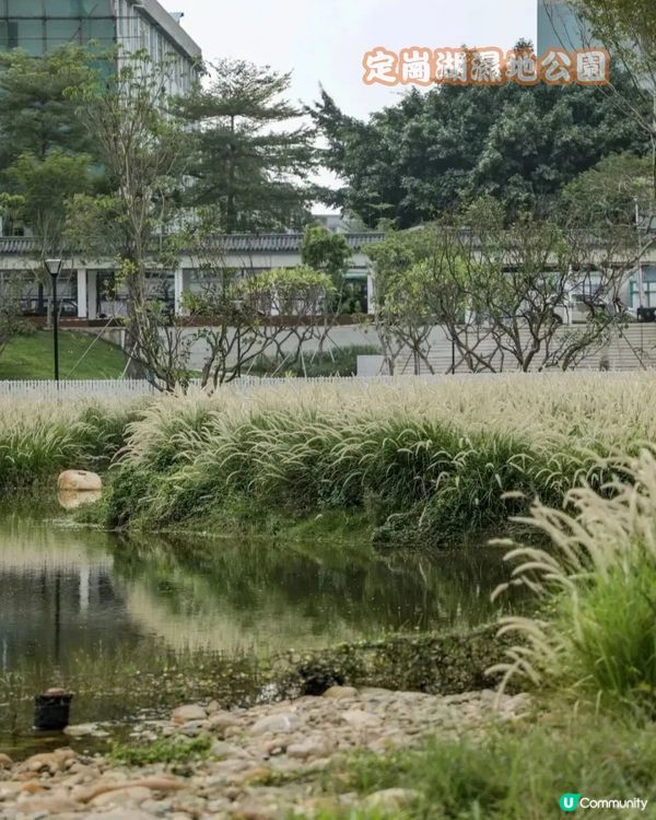 深圳寶安區十大必去公園-上集🌺