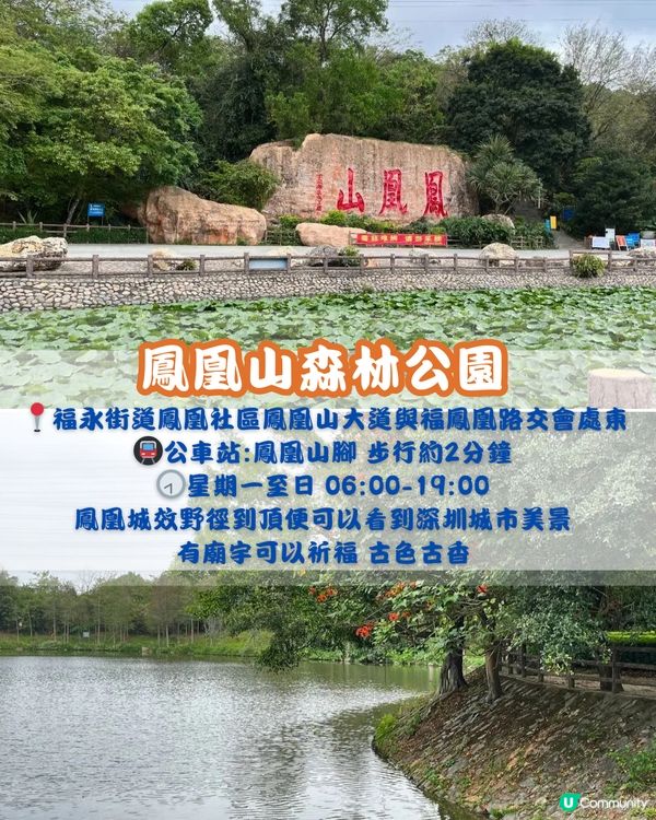 深圳寶安區十大必去公園-上集🌺