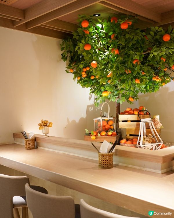 🍊濟州柑橘主題韓系咖啡店