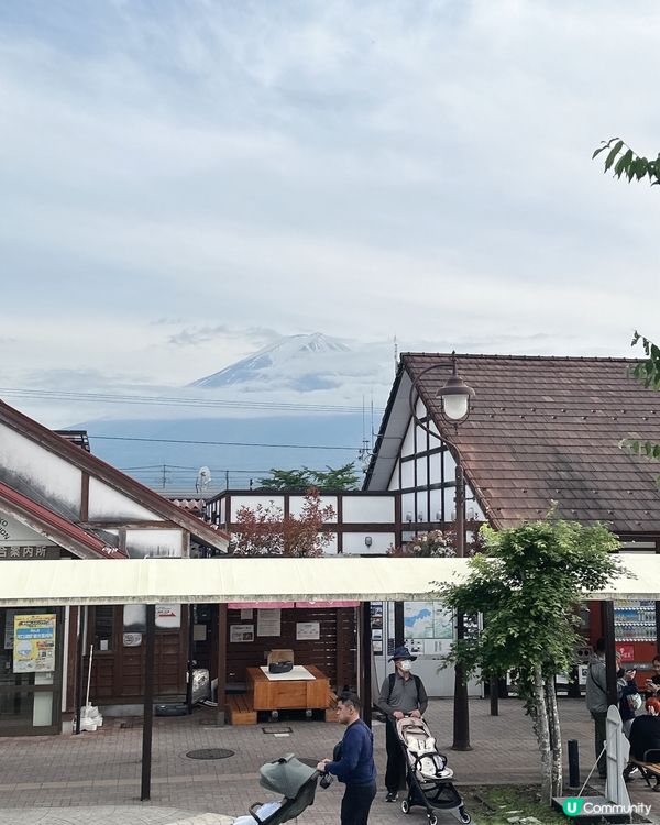 去河口湖交通攻略