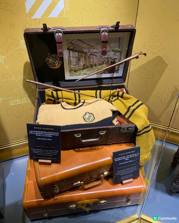 哈利波特展到底值唔值得去？