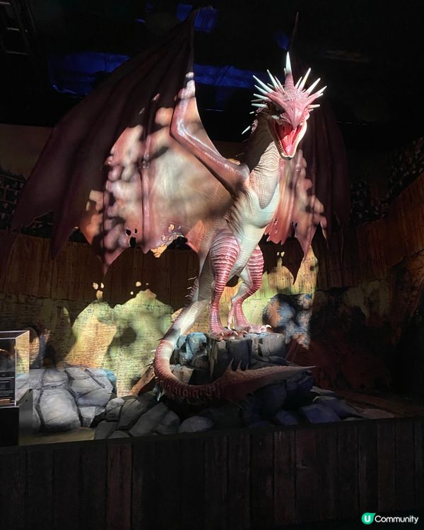 哈利波特展到底值唔值得去？