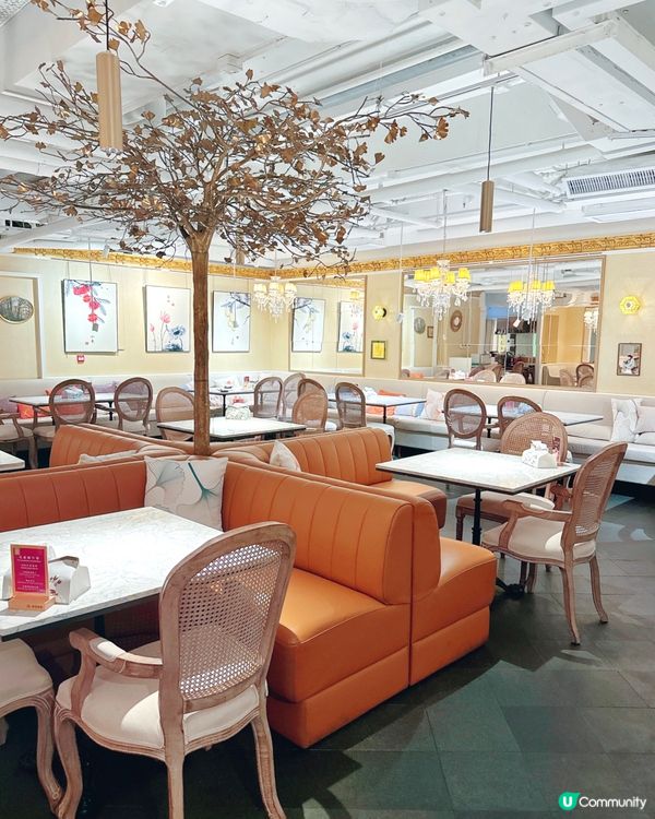 太喜歡了！華麗•性價比高下午茶⚜️