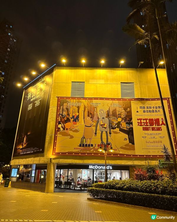 🏖️《 汪汪夢裏人 》