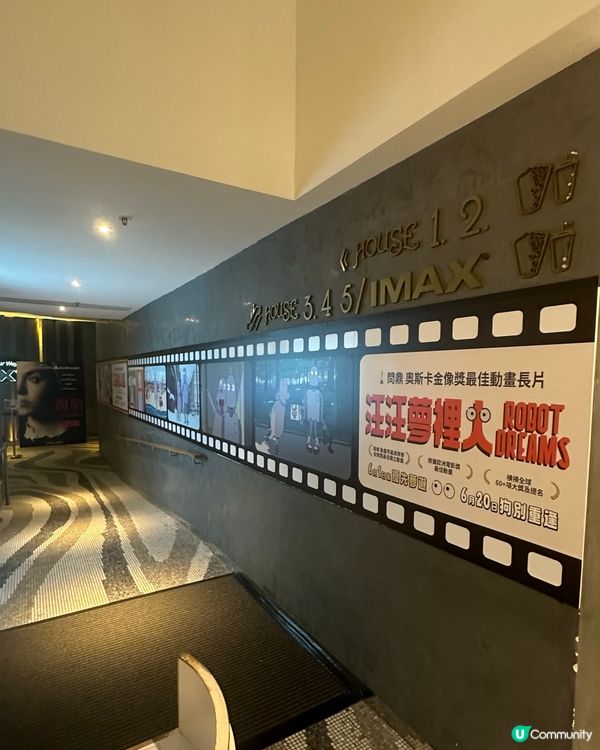 🏖️《 汪汪夢裏人 》