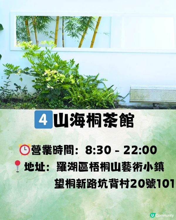 深圳梧桐山藝術小鎮⛰️避世一日遊🗺️🎒附交通教學🚗