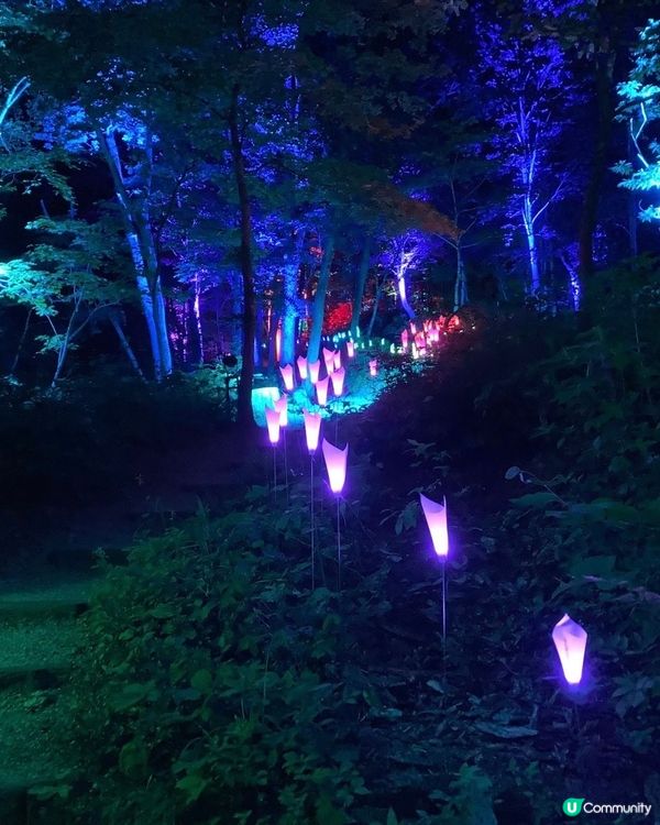 空氣神社亮燈活動1/6-16/9 ：你入嚟幫我睇下你驚唔驚😖