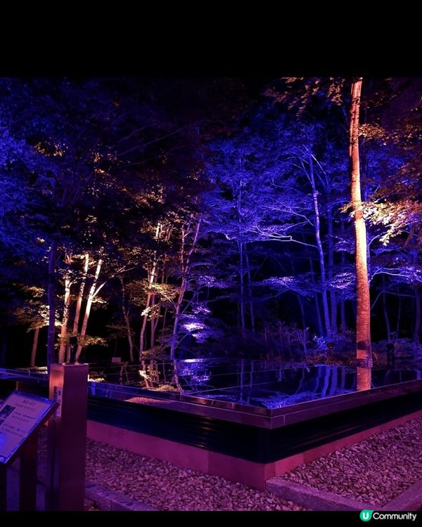 空氣神社亮燈活動1/6-16/9 ：你入嚟幫我睇下你驚唔驚😖