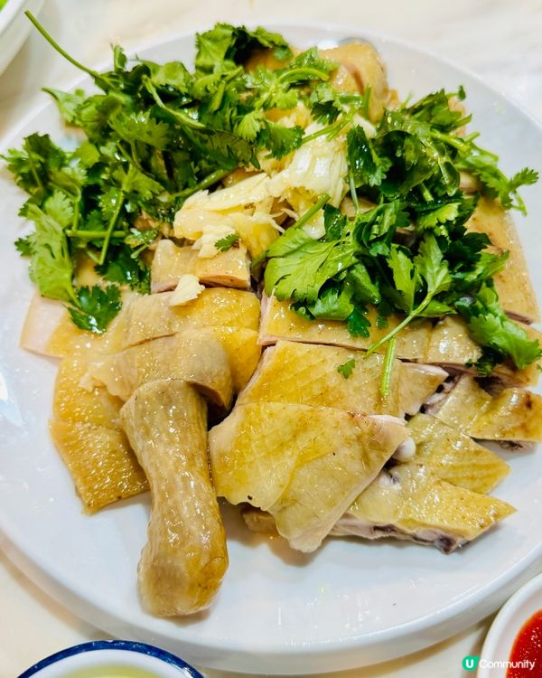 水圍搵食👉🏻👉🏻👉🏻湛江漁港😋😋😋