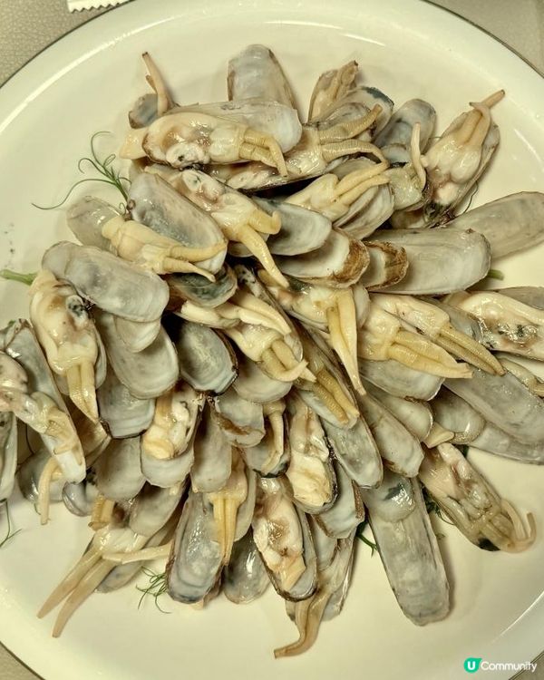 Ricky 張錦祥 x Telicious ！