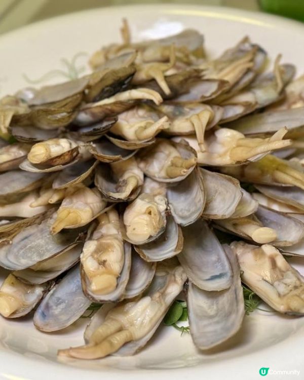 Ricky 張錦祥 x Telicious ！