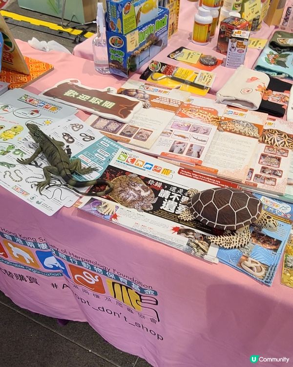 Yoho Mix & Yoho Plus 正式閃亮登場