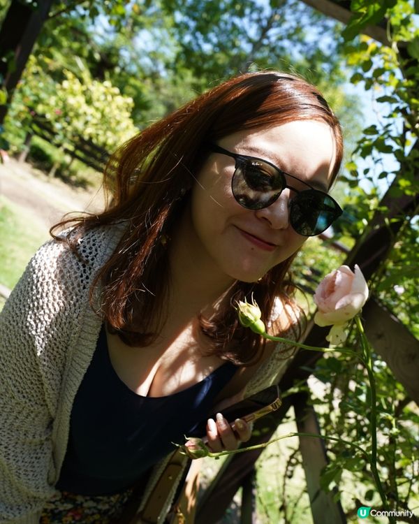 別府地獄深度遊🔥🌋海地獄