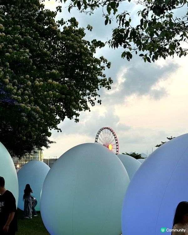 期間限定好去處✨