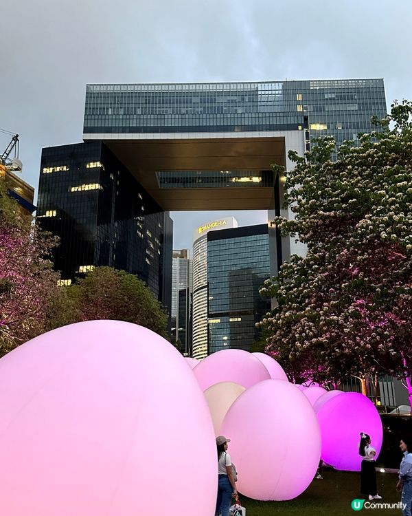 期間限定好去處✨