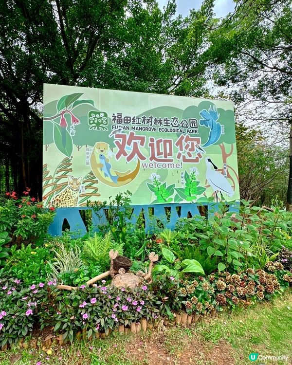 【假期好去處.深圳城市漫遊休閒體驗】