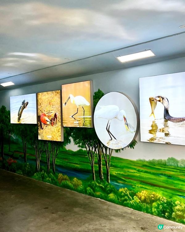 【假期好去處.深圳城市漫遊休閒體驗】
