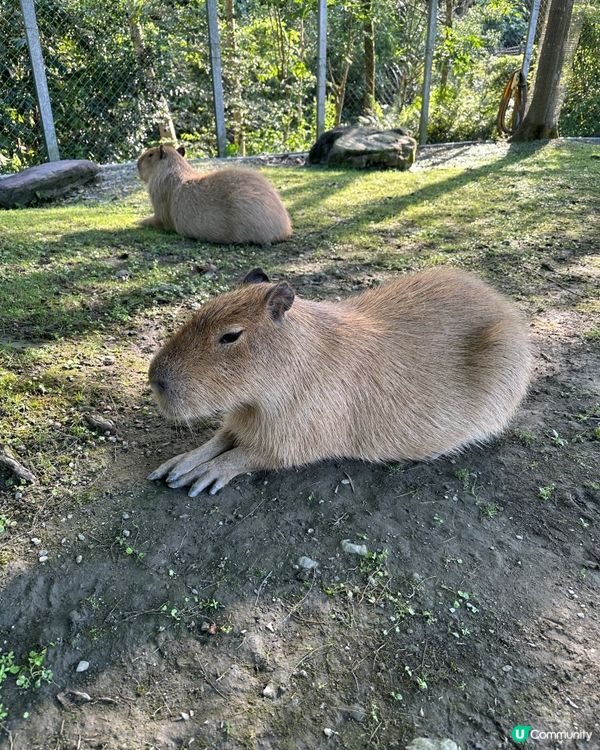 說走就走的6日生日旅行 台灣行 Day 3
