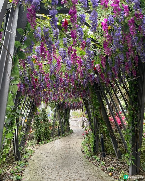 《流光溢彩耀東區》假日打咭必去