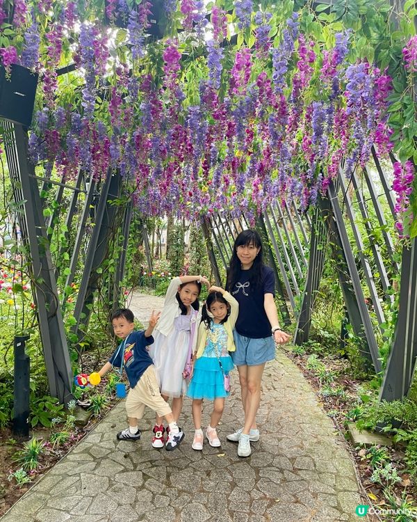 《流光溢彩耀東區》假日打咭必去