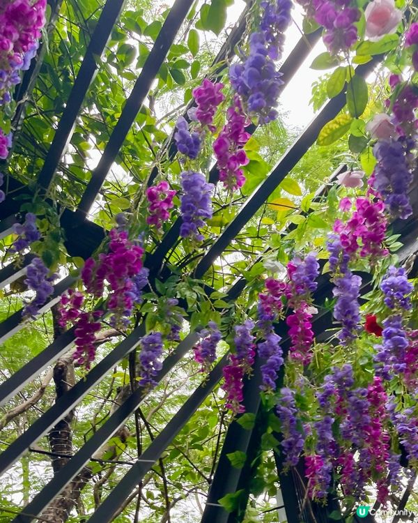 《流光溢彩耀東區》假日打咭必去