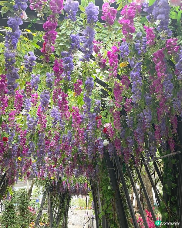 《流光溢彩耀東區》假日打咭必去