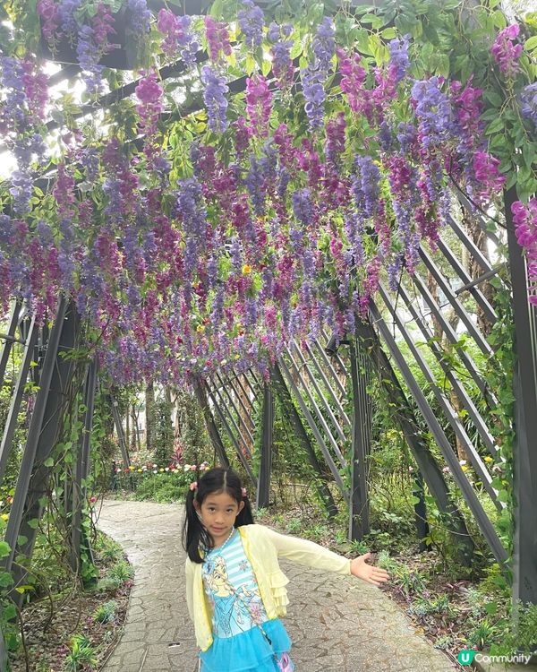 《流光溢彩耀東區》假日打咭必去