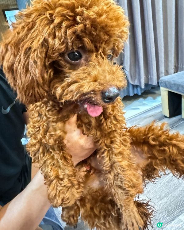 【富國島｜體驗便宜的按摩和美甲】