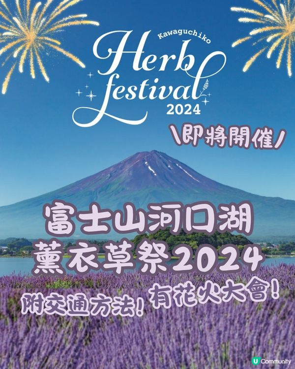 富士山河口湖薰衣草祭2024即將開催🪻附交通方法🇯🇵