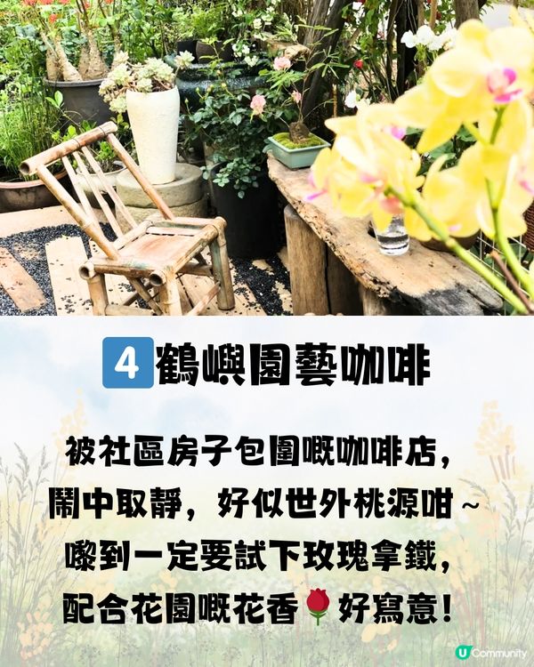 深圳庭園式下午茶🫖🍰8大推介🔥附交通教學🚗建議收藏🔖