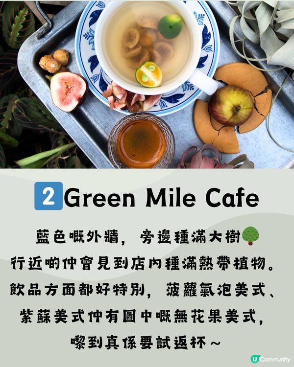 深圳G&G創意社區🛹文青慢活遊☕️附交通教學🚗