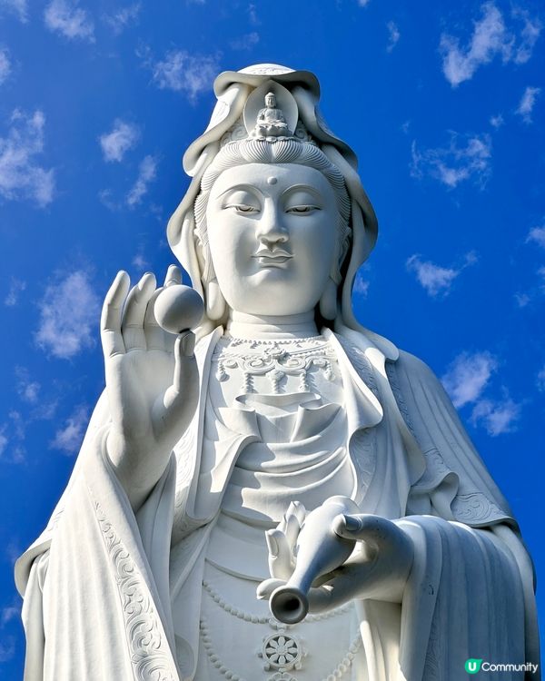 觀音桃花迎新春