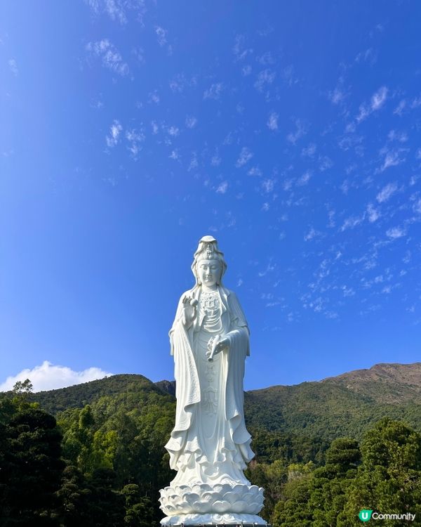 觀音桃花迎新春