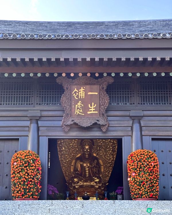 觀音桃花迎新春