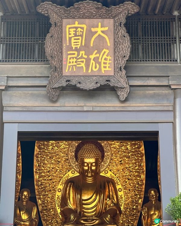 觀音桃花迎新春