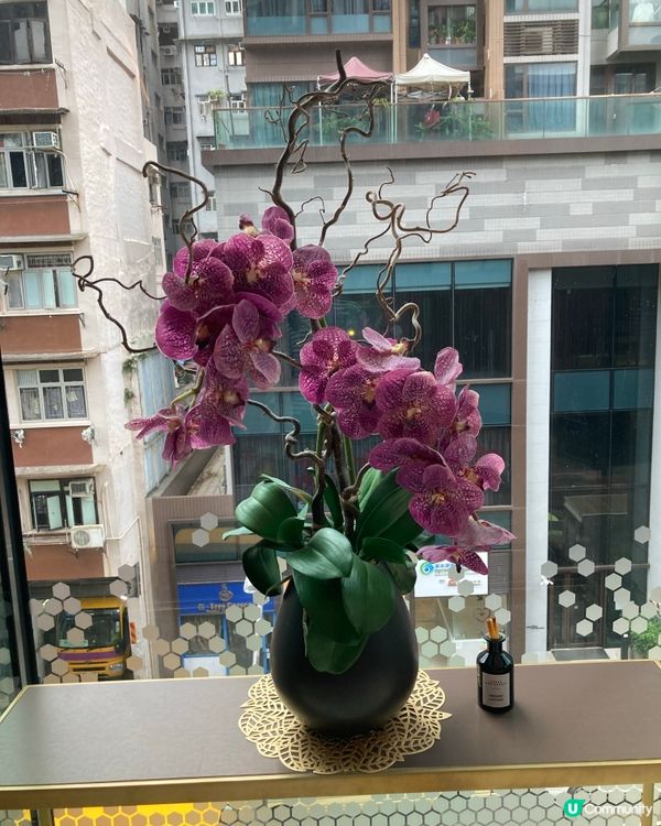 端午節的來臨