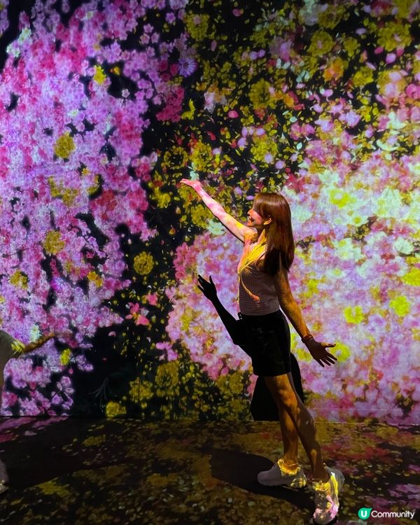 ❁澳門TeamLab 嶄新藝術體驗遊樂園❁