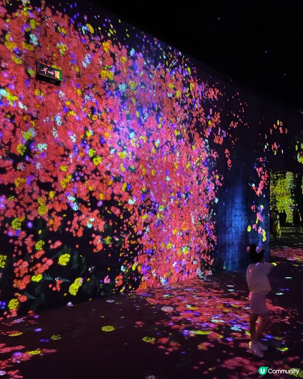 ❁澳門TeamLab 嶄新藝術體驗遊樂園❁