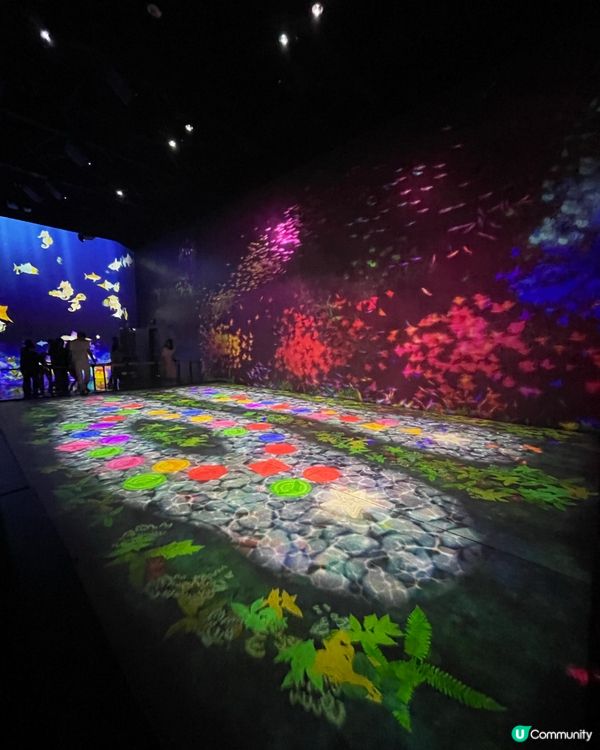 ❁澳門TeamLab 嶄新藝術體驗遊樂園❁