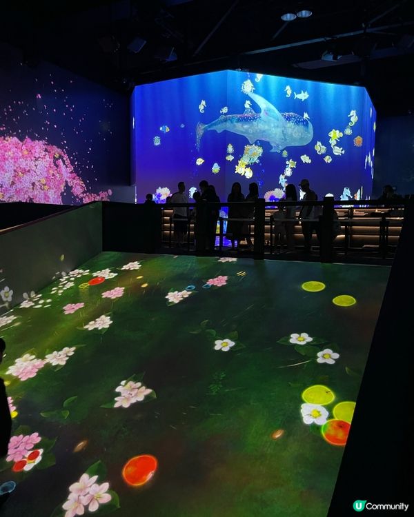 ❁澳門TeamLab 嶄新藝術體驗遊樂園❁