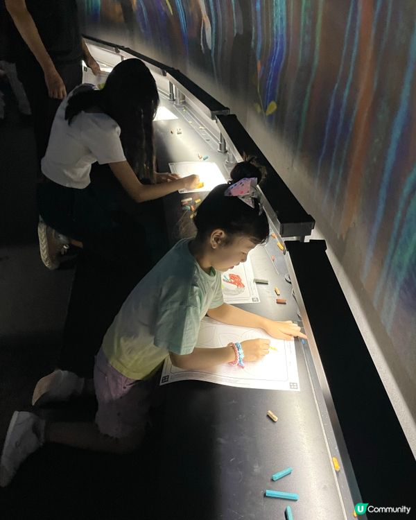 ❁澳門TeamLab 嶄新藝術體驗遊樂園❁