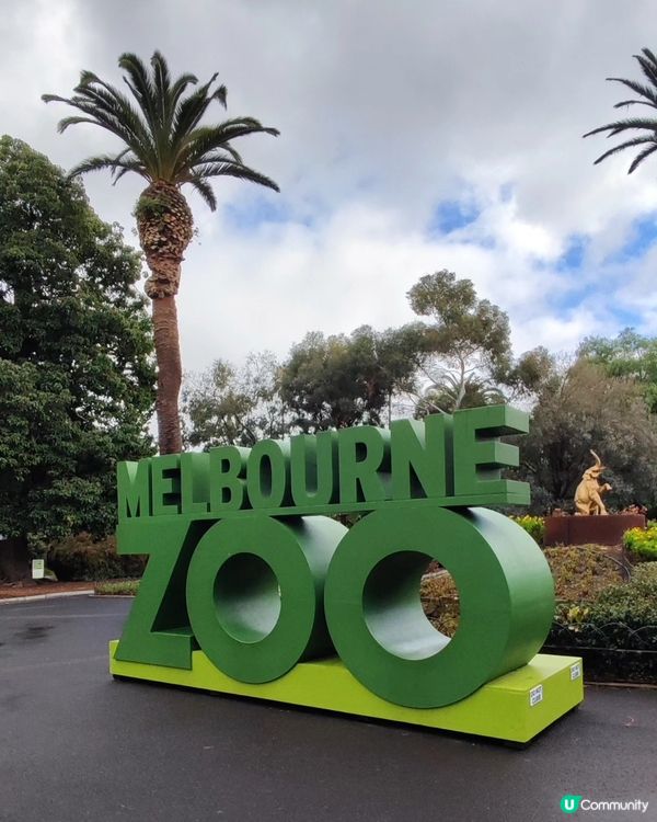 墨爾本動物園 Melbourne Zoo 