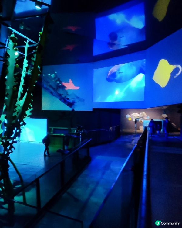 墨爾本動物園 Melbourne Zoo 