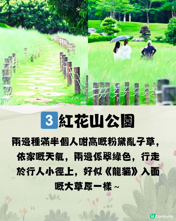 深圳宮崎駿風公園🌞☁️七大推介⛲️附交通教學🚗