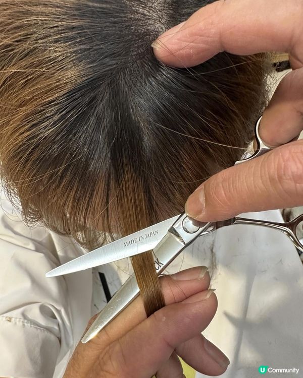 【頭毛日誌】髮型師發辦